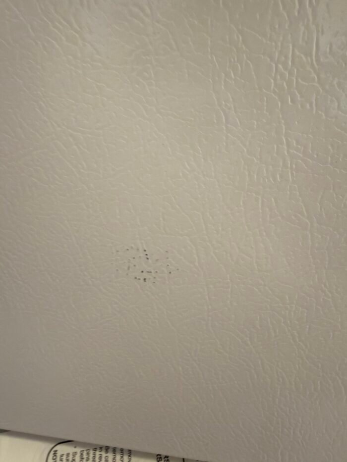 GE GTS17DTNRWW 16.6 cu. ft. Top Freezer Refrigerator in White - Image 4